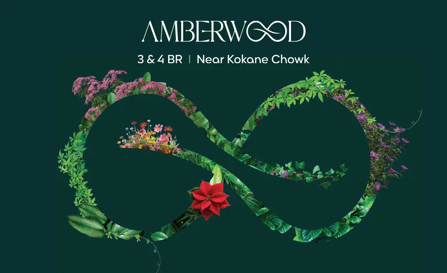 about-amberwood